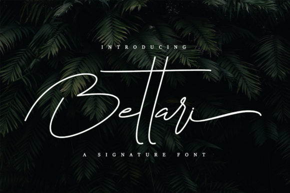 Bettari: A Signature Script Font for Elegant Editorial Design