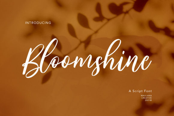 Bloomshine Font: Elevating Branding for Small Businesses