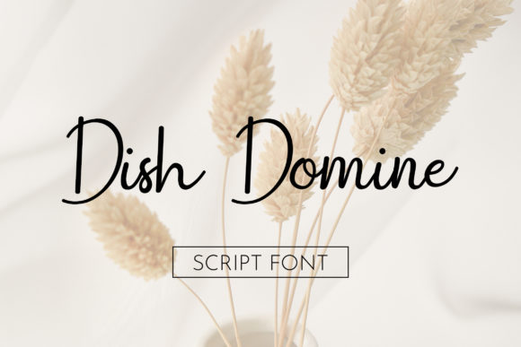 Dish Domine: A Designer’s Real Talk Review
