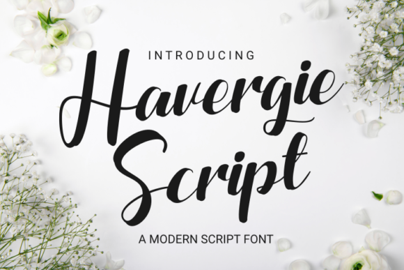 Havergie: How a Chic Script Font Can Elevate Your Campaign Visuals
