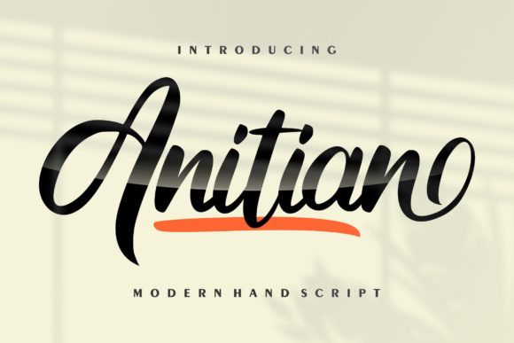 How Anitian Adds Personality to Web Design Projects