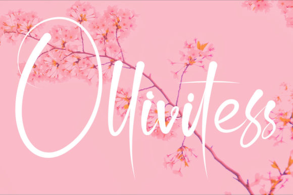 Ollivitess: A Graceful Script Font for Elegant Editorial Design