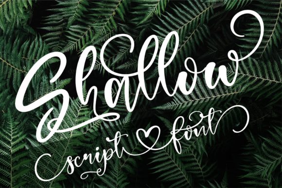 Shallow: A Luxurious Handwritten Font for Modern Branding Projects