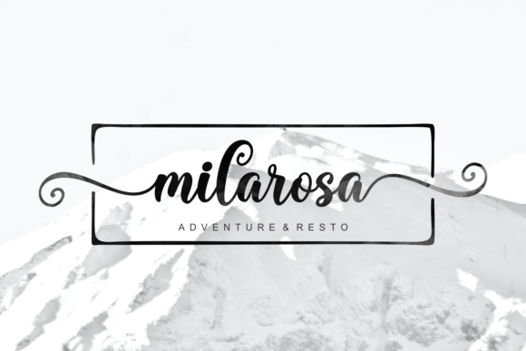 Shimory: A Dazzling Script Font for Modern Editorial Design